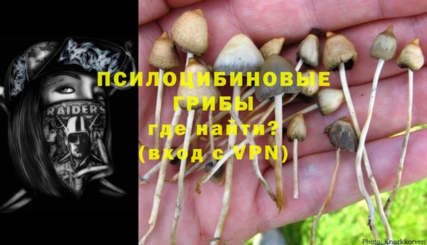 ешки Фурманов