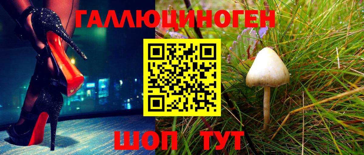 Псилоцибиновые грибы MAGIC MUSHROOMS Александров