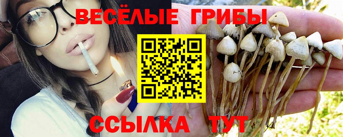 Галлюциногенные грибы Cubensis  Галлюциногенные грибы мухоморы  Александров  Вход с VPN 